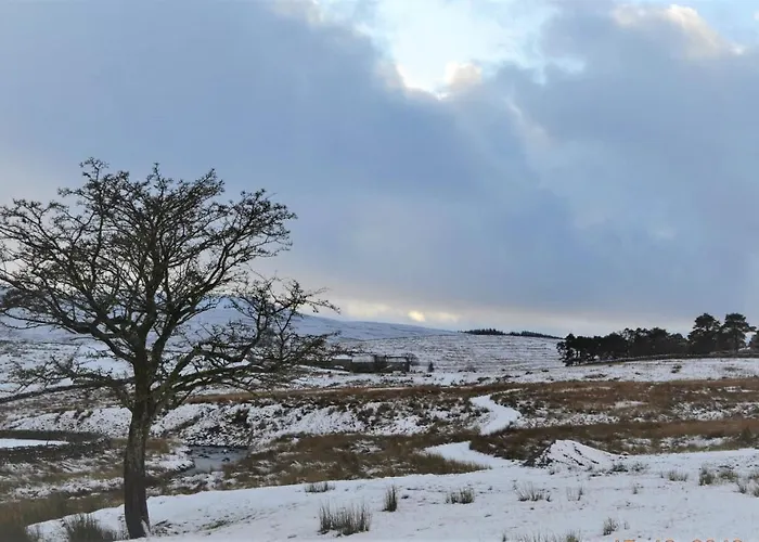 Hotel The Garsdale - Goats And Oats At Garsdale Hawes