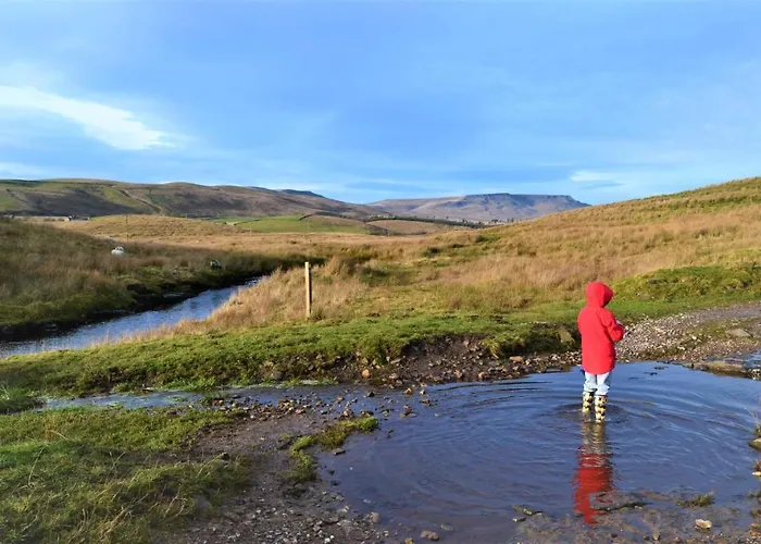 The Garsdale - Goats And Oats At Garsdale Hawes